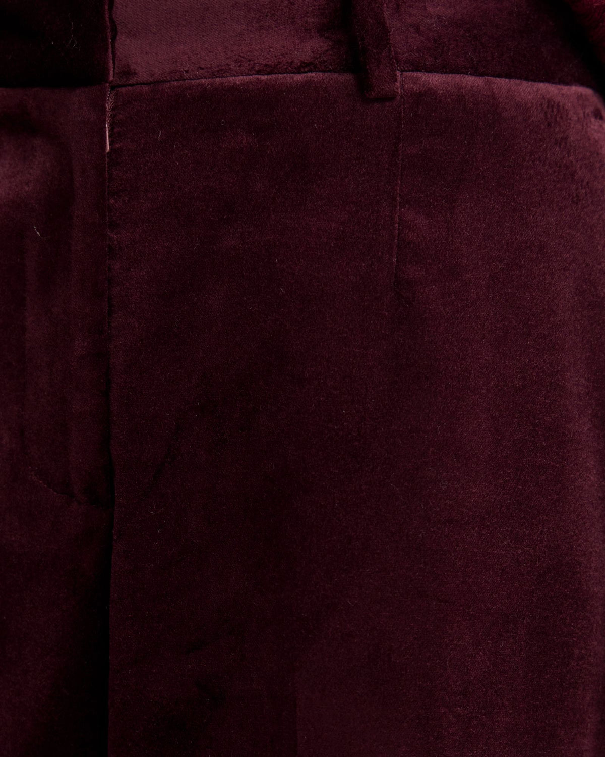 Lydia Velvet Pants WOMENS PANTS