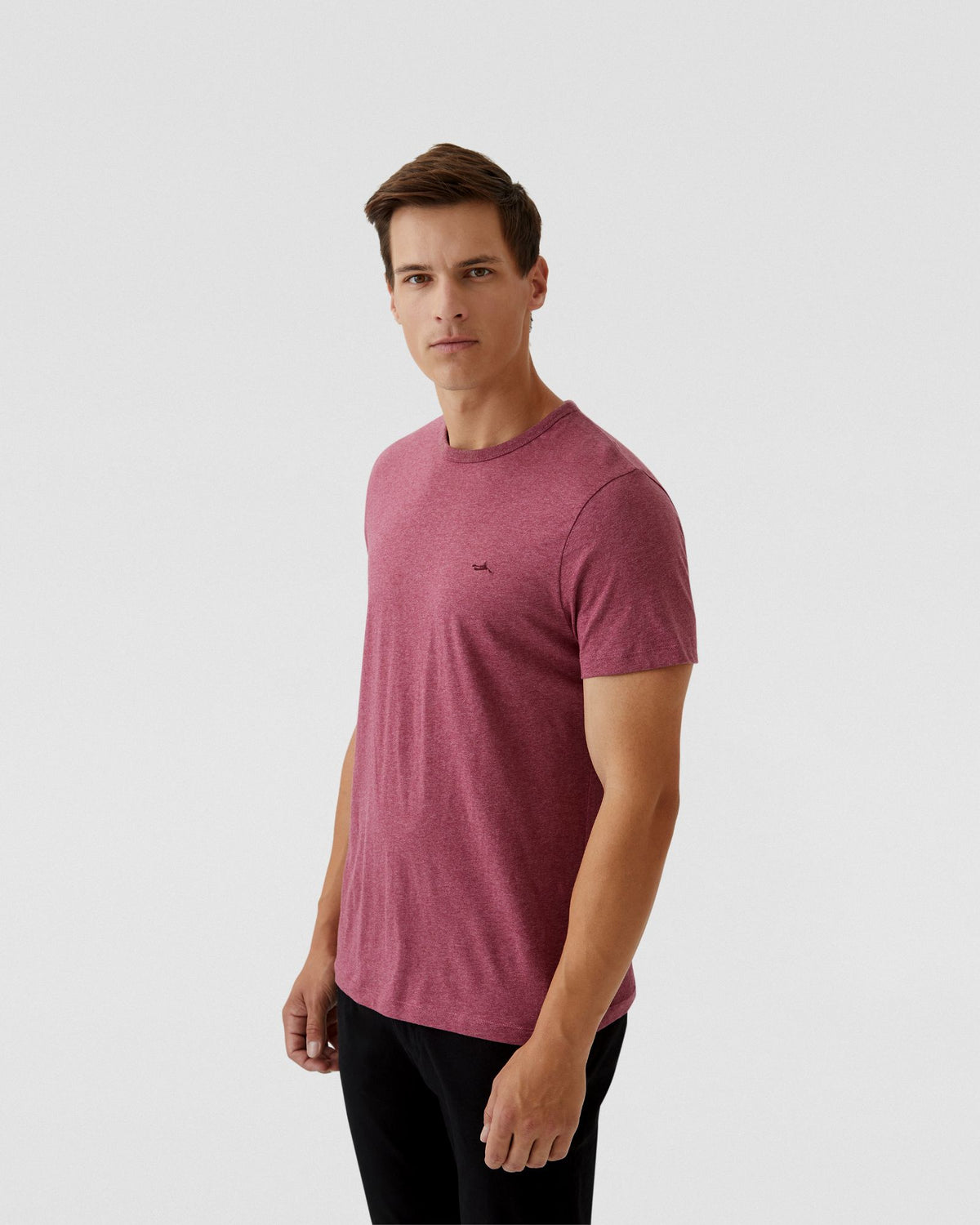 BEN ORGANIC COTTON CREW NECK T-SHIRT MENS KNITS