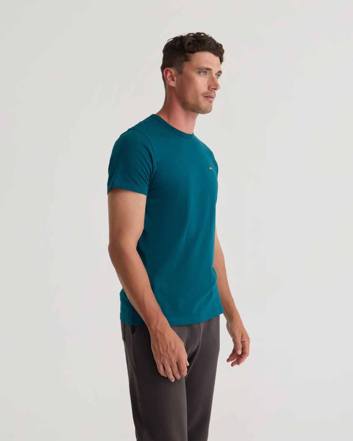 Ben Organic Cotton T-Shirt MENS KNITS