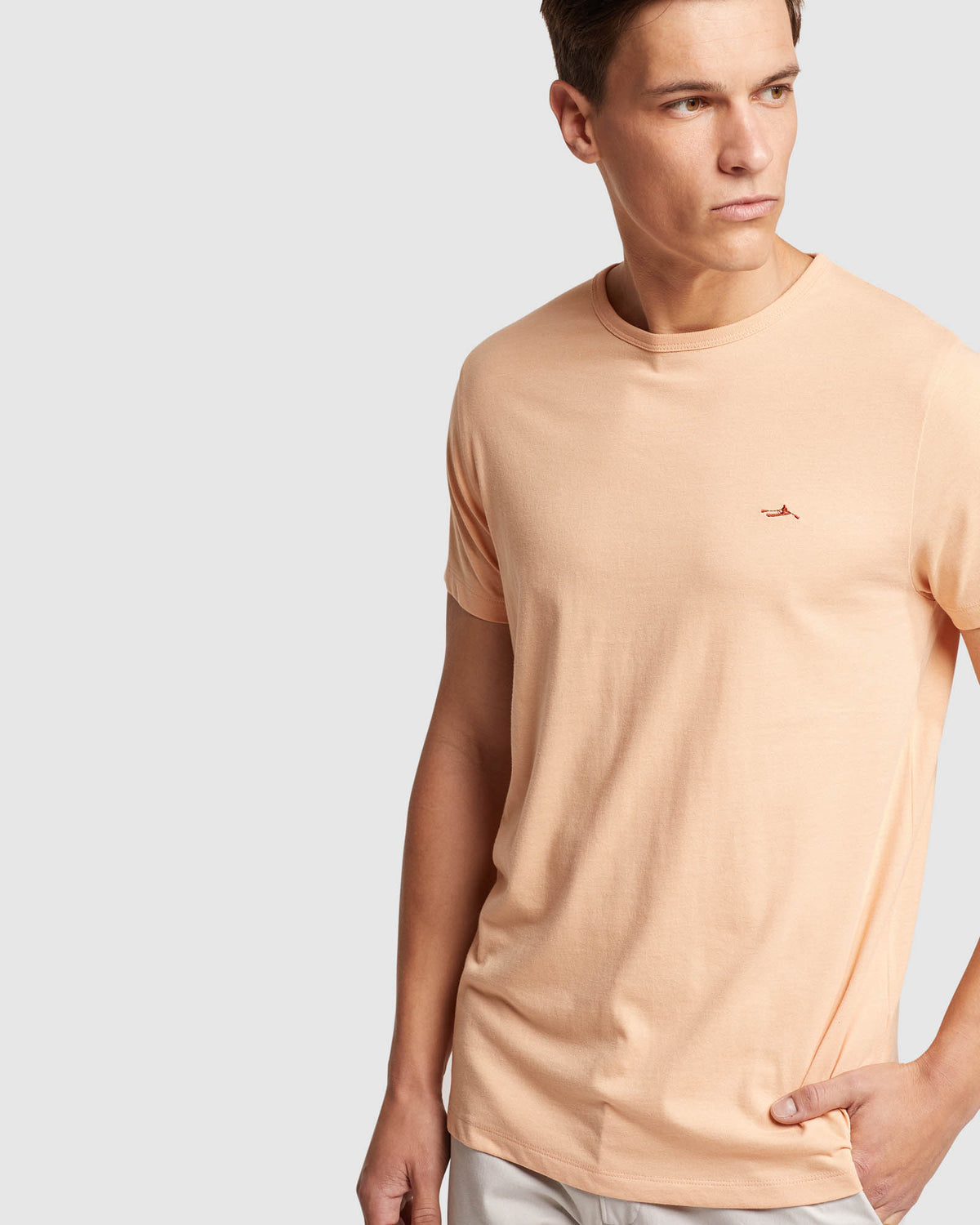 JED CREW NECK T-SHIRT - AVAILABLE ~ 1-2 weeks MENS KNITS