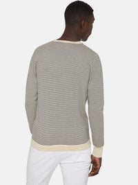 WILL PIMA COTTON STRIPED KNIT
